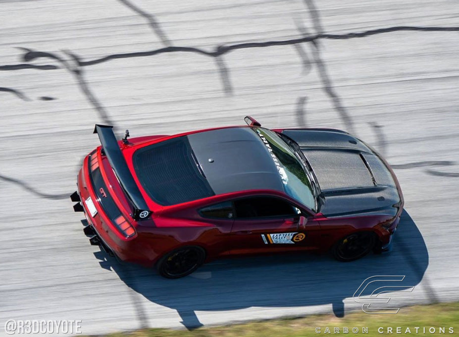 Carbon Fiber Hood for Ford Mustang