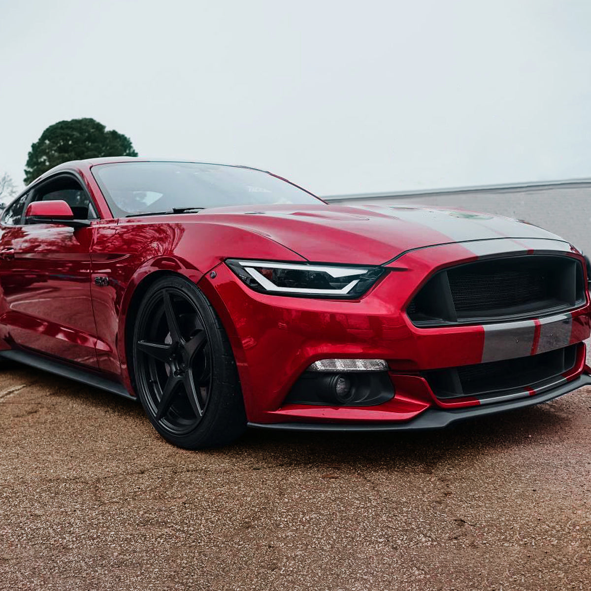 Spec-D 16 Mustang Shelby HID Pro smoked headlights