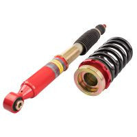 F2-FDT2 Function and Form Type 2 coilovers