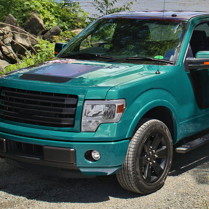 12 Ford F-150 OE Spec-D chrome lighting upgrade