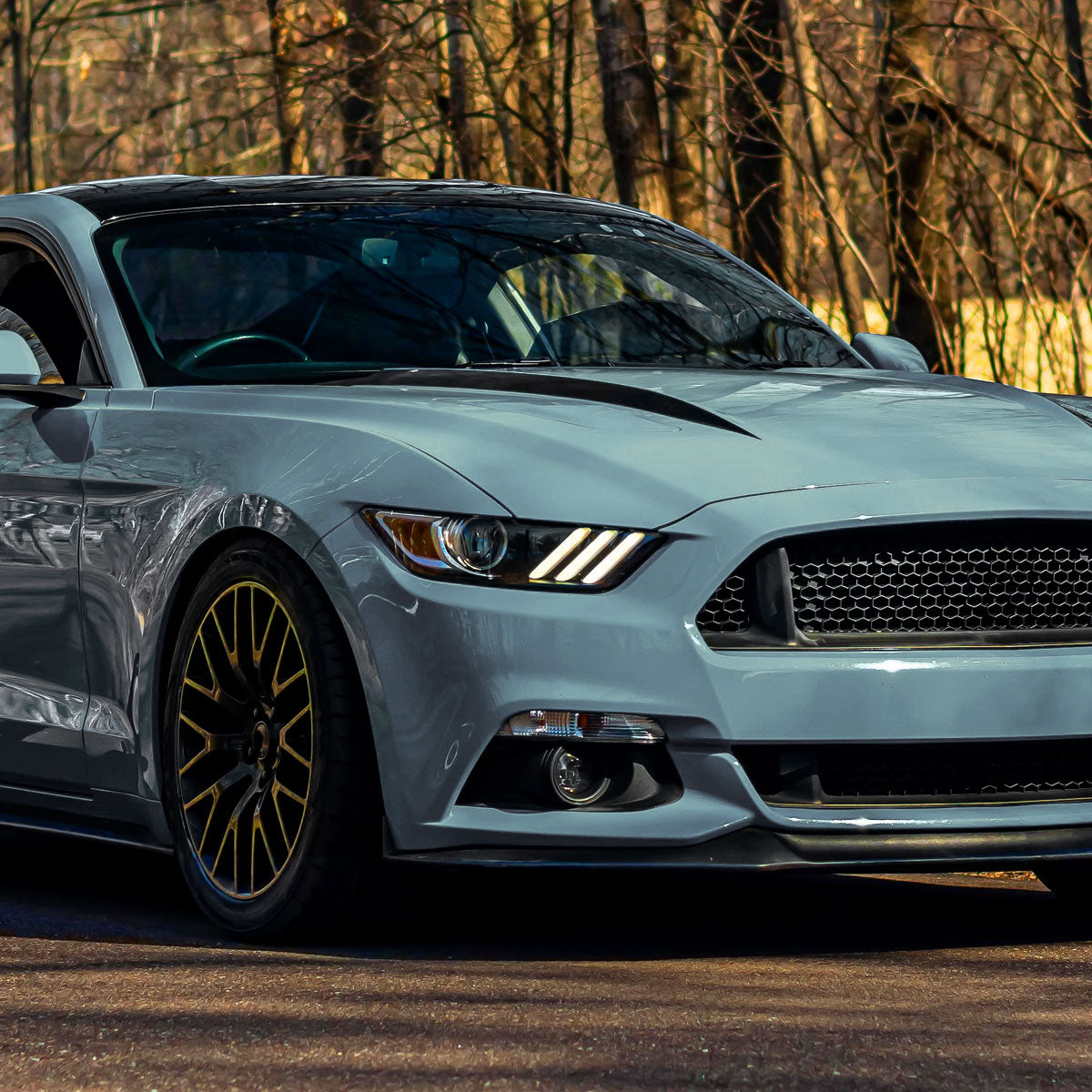 15 Mustang Shelby LED Strip Xenon Spec-D black lighting upgrade
