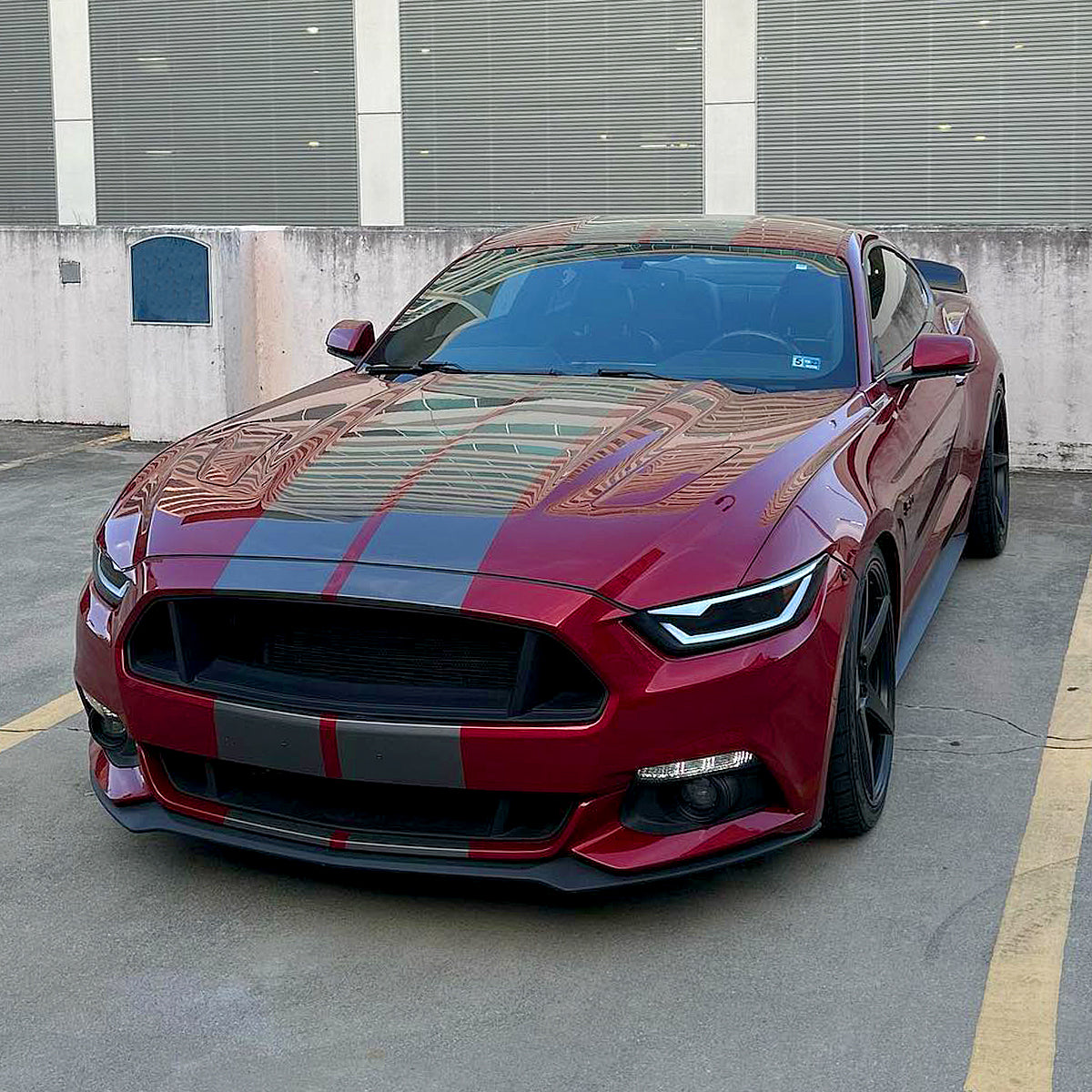 15 Mustang Shelby HID Pro Spec-D smoked lighting upgrade