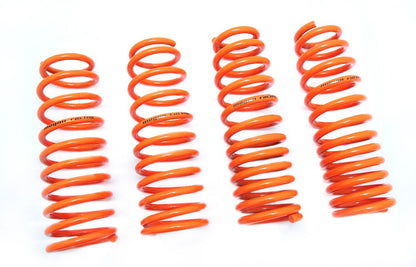 Megan Racing Acura RSX Base/Type S 02-04 Lowering Springs MR-LS-AR02 Main Image