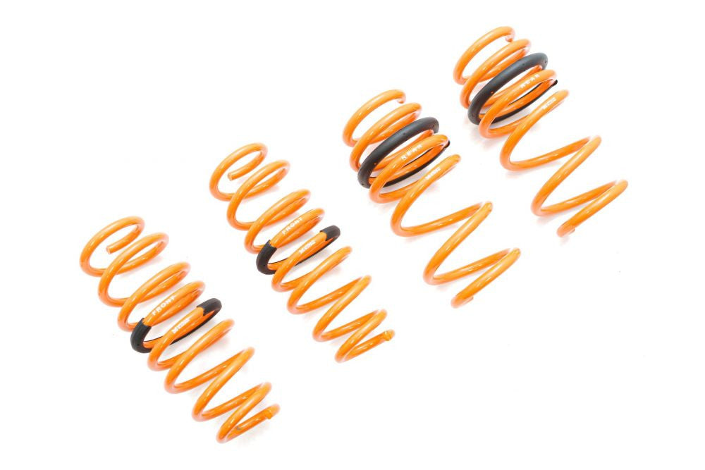 Megan Racing Tesla Model 3 AWD 17+ (EXC RWD) Lowering Springs - MR-LS-TSL317X