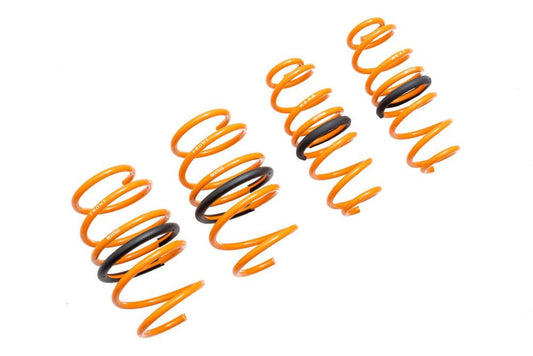 Megan Racing Toyota Corolla 19+ Lowering Springs MR-LS-TCO19H